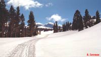 Heading to Tioga Lake